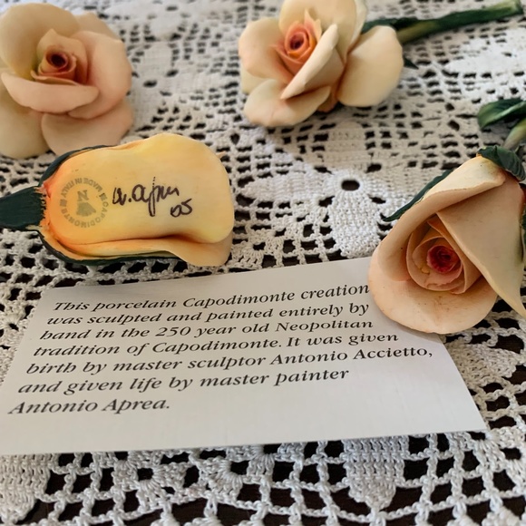 Capodimonte porcelain roses - Picture 6 of 6